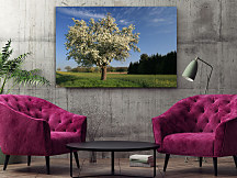 Obraz Jar na strome 1770